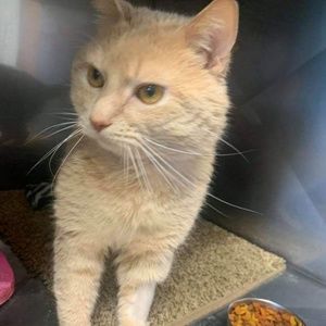 Meet your Posher, Paris